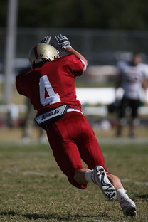 开云官方网站-CBA赛季转会期开放多支球队进行大规模阵容调整，cba转会动态2021