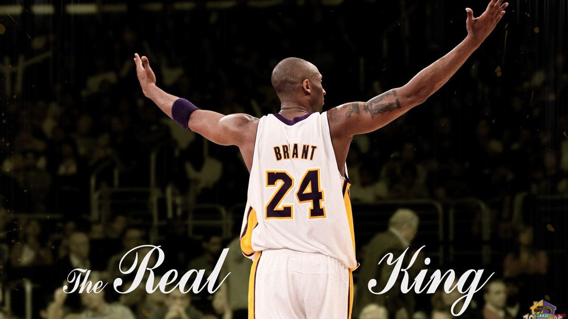 波波维奇冲刺阶段爆发力惊艳赛场，波波维奇很厉害吗